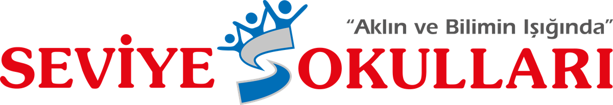 Seviye Okulları